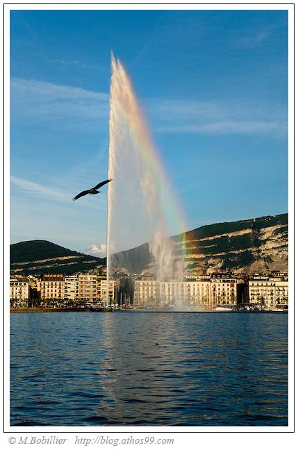 Carte postale du jet d'eau de Genève